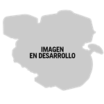 Motor Horizontal Husqvarna para motocultivador Husqvarna TF338